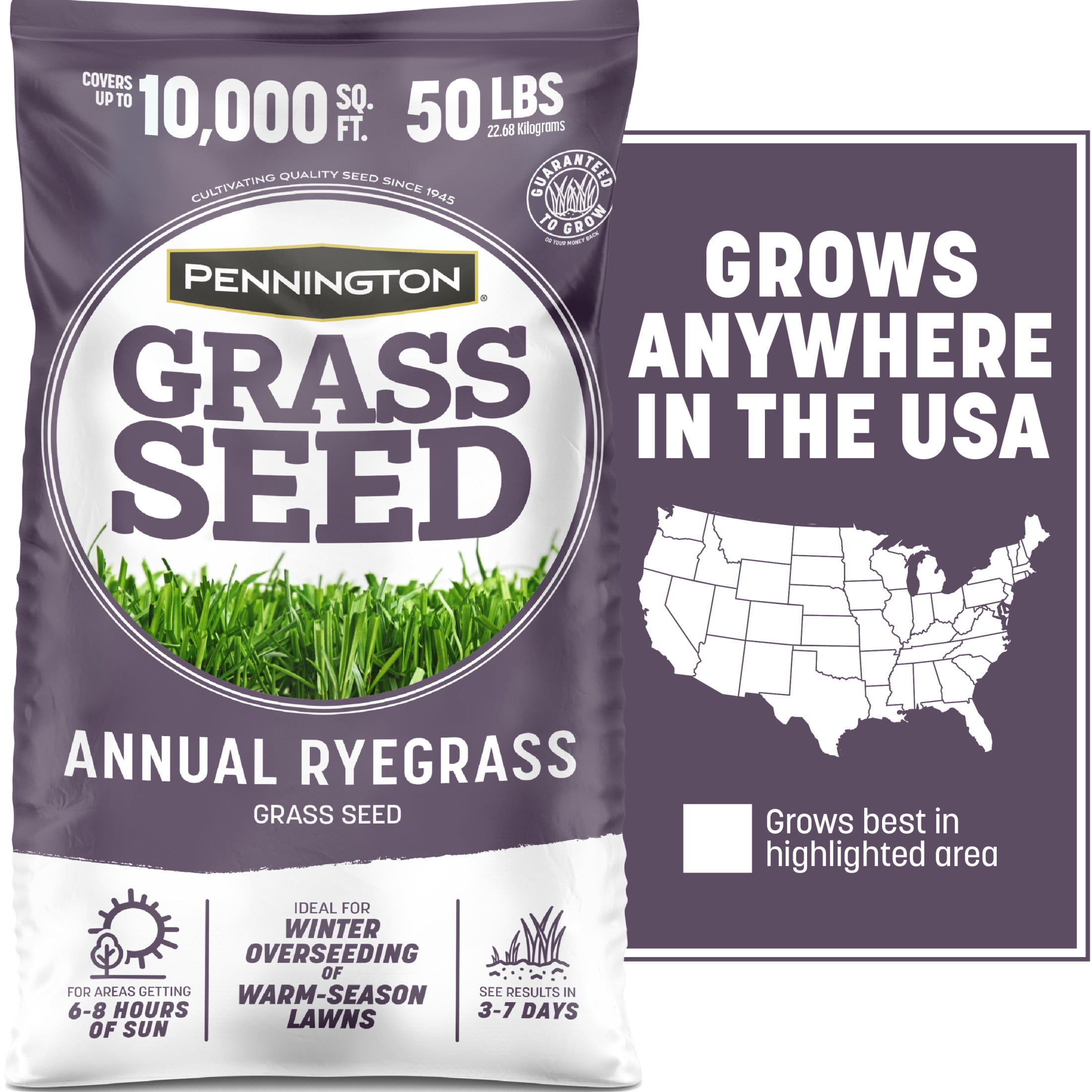 Pennington Annual Ryegrass Grass Seed, 20lb, Full Sun to Partial