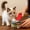 Red, variant on Kna Cat Can Opener Cute Shape Gadget Can Opener For Home Indoor Outdoor Kitchen Daily