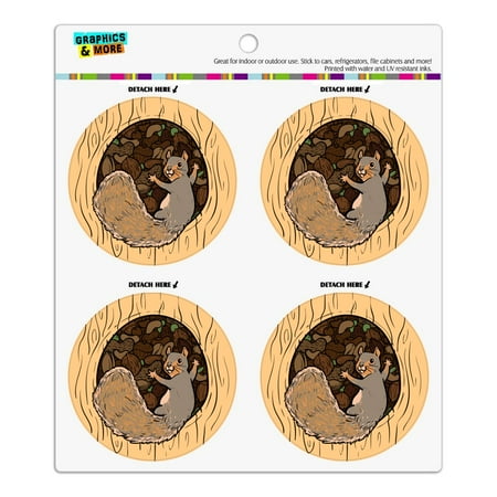 

Squirrel Protecting His Nuts Refrigerator Fridge Locker Vinyl Circle Magnet Set