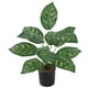 thumbnail image 1 of Vegetales artificiales en macetas Plantas de interior falsas Plantas de suelo para la decoración del baño y la cocina, 1 of 5