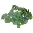 thumbnail image 3 of Miangastore Hanging Leaf Ornament Artificial Plant Pendant 1 Set Reptile Tank Hideout Lizard Terrarium Decor, 3 of 6