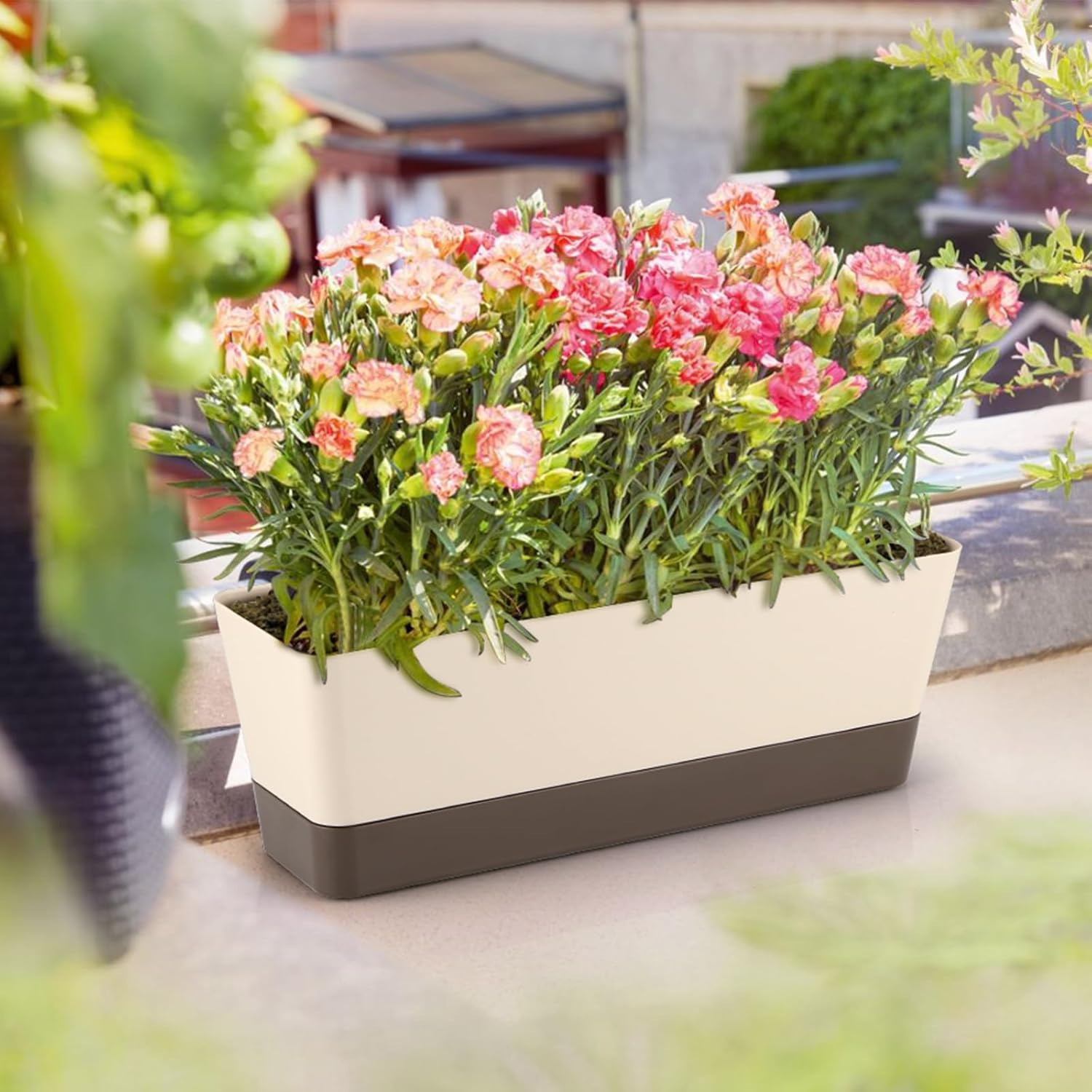 3 Pack 12 inch Plastic Window Planter Box,Bexikou Vegetable Planter Box with Trays,Rectangular Flower Pots for Windowsill, Garden, Balcony, Patio