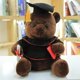 thumbnail image 3 of Oso con gorro de Doctor de 18-35cm, muñeco de peluche de oso de graduación, oso de peluche suave, regalos de cumpleaños para estudiantes y niños, 3 of 5