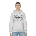 thumbnail image 6 of BCS NYC Unisex Heavy Blend™ Hooded Sweatshirt, 6 of 54
