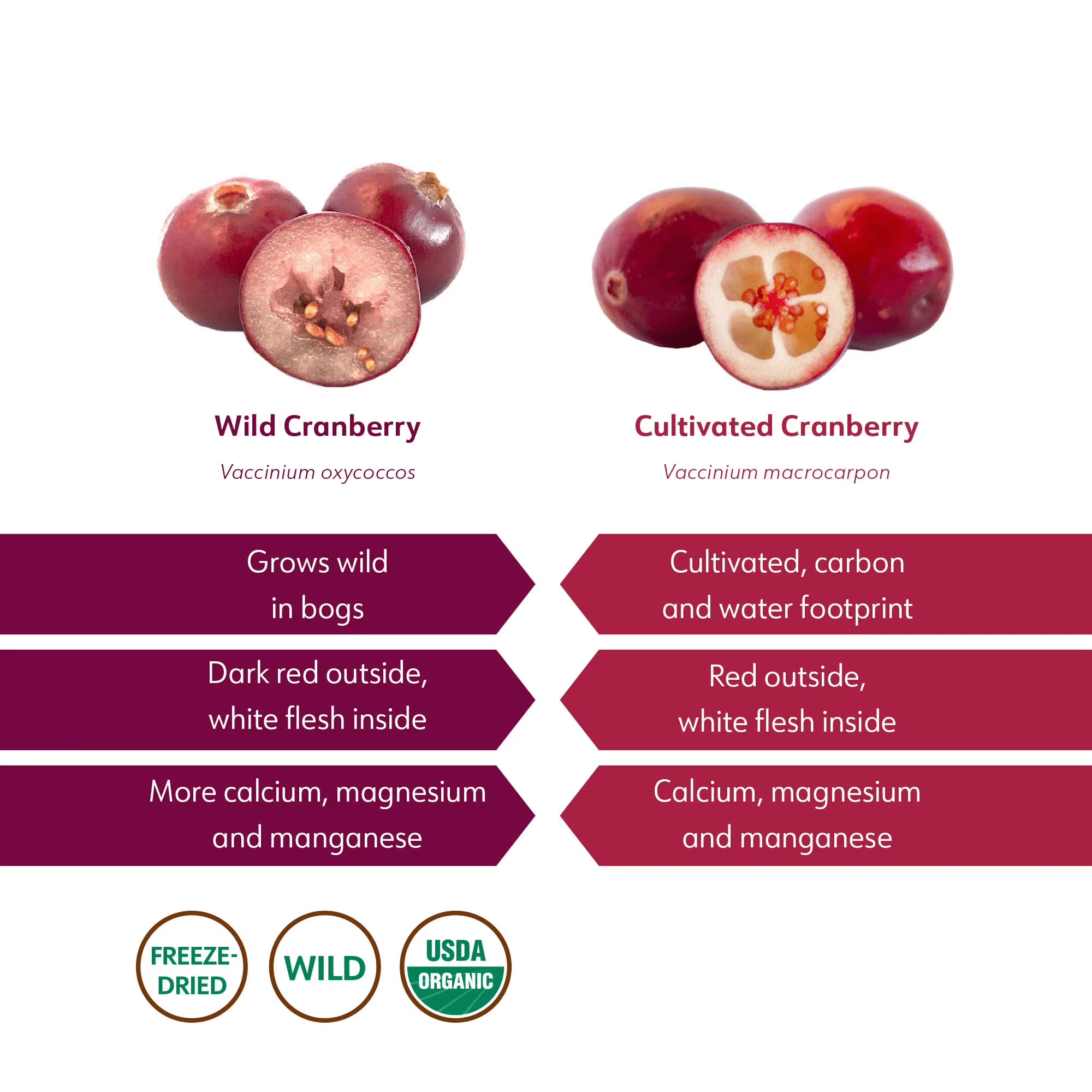 LOOV Organic Wild Cranberry Powder, Freeze-Dried, No Added Sugar, 6 oz (171 G)