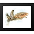 thumbnail image 2 of Shefranov, Olga 24x20 Black Modern Framed Museum Art Print Titled - Turtle, 2 of 5