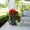 Red, variant on Nearly Natural UV-Resistant Outdoor Artificial Hibiscus Hanging Plant - 41" - Purple - Set of 2