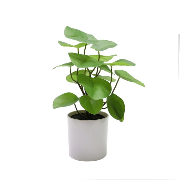 Nature's Mark 13.4”H Artificial Hoya Greenery Plant in White Plastic Pot