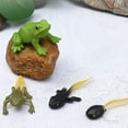 thumbnail image 3 of Ensemble Cycle de Vie de la Grenouille 5 Pcs, Figurines de Croissance Modèle Aides Éducatives Jouets, 3 of 3