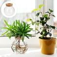 thumbnail image 3 of Miangastore Desktop Plant Terrarium Hydroponic Plant Glass Vase Water Planting Container, 3 of 9