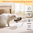thumbnail image 3 of Austok Elevated Cat Bowls 15 Degree Inclined Stainless Steel Cat Bowls Detachable Metal Bracket Ergonomic Design for Healthy Eating Digestion, 3 of 9