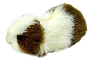 guinea pig plush