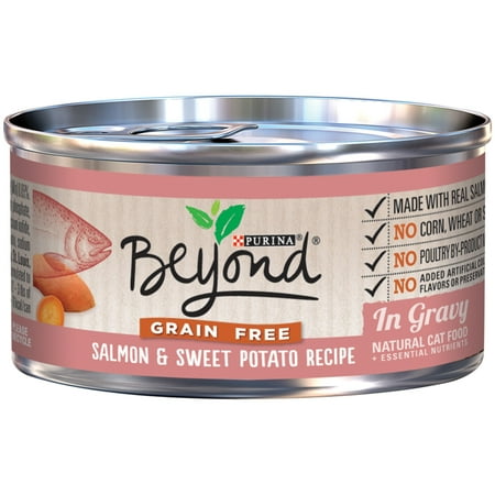 (12 Pack) Purina Beyond Grain Free Salmon & Sweet Potato ...
