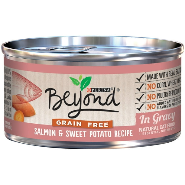 (12 Pack) Purina Beyond Grain Free Salmon & Sweet Potato Recipe in