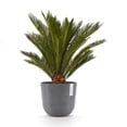 thumbnail image 4 of Ecopots Oslo Durable Modern Round Indoor/Outdoor Recycled Based Composite Flower Pot Planter, Grey, 10", 4 of 4