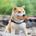 thumbnail image 4 of Jouets à Mâcher pour Chiens Mâcheurs Agressifs Brosse à Dents Jouet pour Chien Durable et Indestructible Jouets Interactifs pour Chiens de Race Moyenne et Grande à Mâcher et Courir, 4 of 5