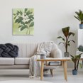 thumbnail image 3 of Stupell Industries French Country Verdant Branch Bloom Canvas Art, 16 x 20, by June Erica Vess, 3 of 8