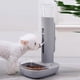 thumbnail image 4 of Plastic Automático Alimentamiento Automático Liftle Hervible Coltar Sin Hojas De Agua Alimentador De Alimentos Para Perros, Gatos, Mamíferos Pequeños, 4 of 7