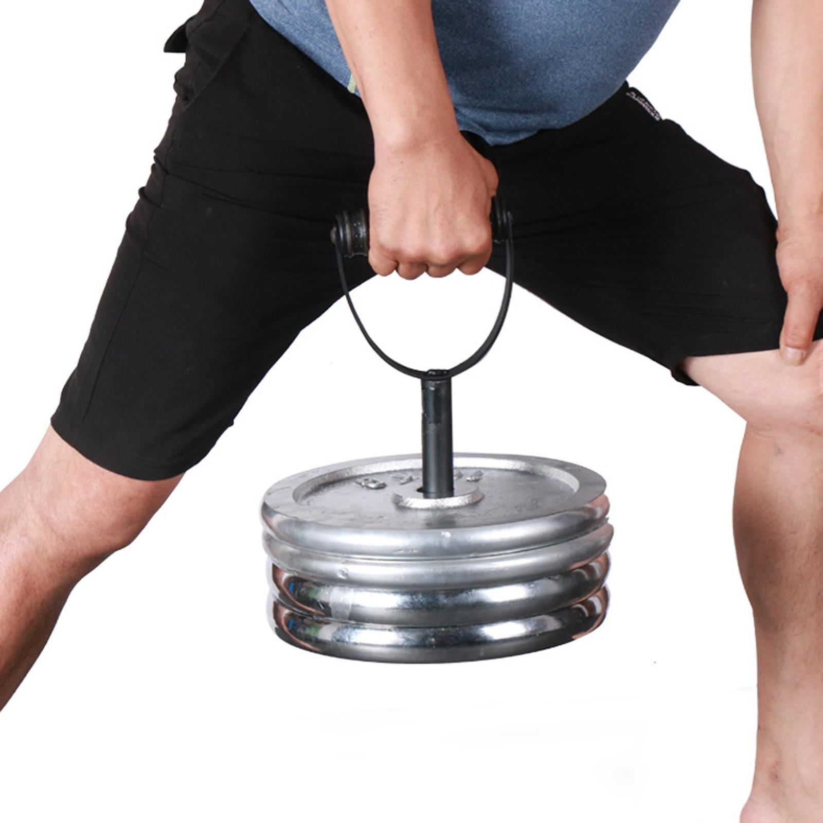 DimyFew Kettlebell Handle Plates Dumbbell Equipment workout and gym Diameter 25mm
