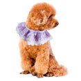 thumbnail image 3 of Collier pour Chat Adorable Bandana en Dentelle Extensible pour Chiots et Chatons, 3 of 8