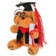 thumbnail image 4 of KAKOWELY Llavero con forma de oso de graduación, colgante para bolso, gorro de graduación, osito de peluche, decoración., 4 of 5