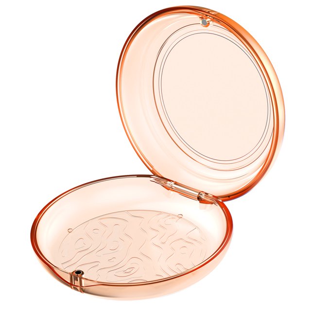 Visland Transparent Accolades Boîte de Rangement Étanche à l'Humidité Fermoir Magnétique Étanche Étui Étui de Protection de la Bouche Outil de Retrait de l'Étui et Récipient de Brosse