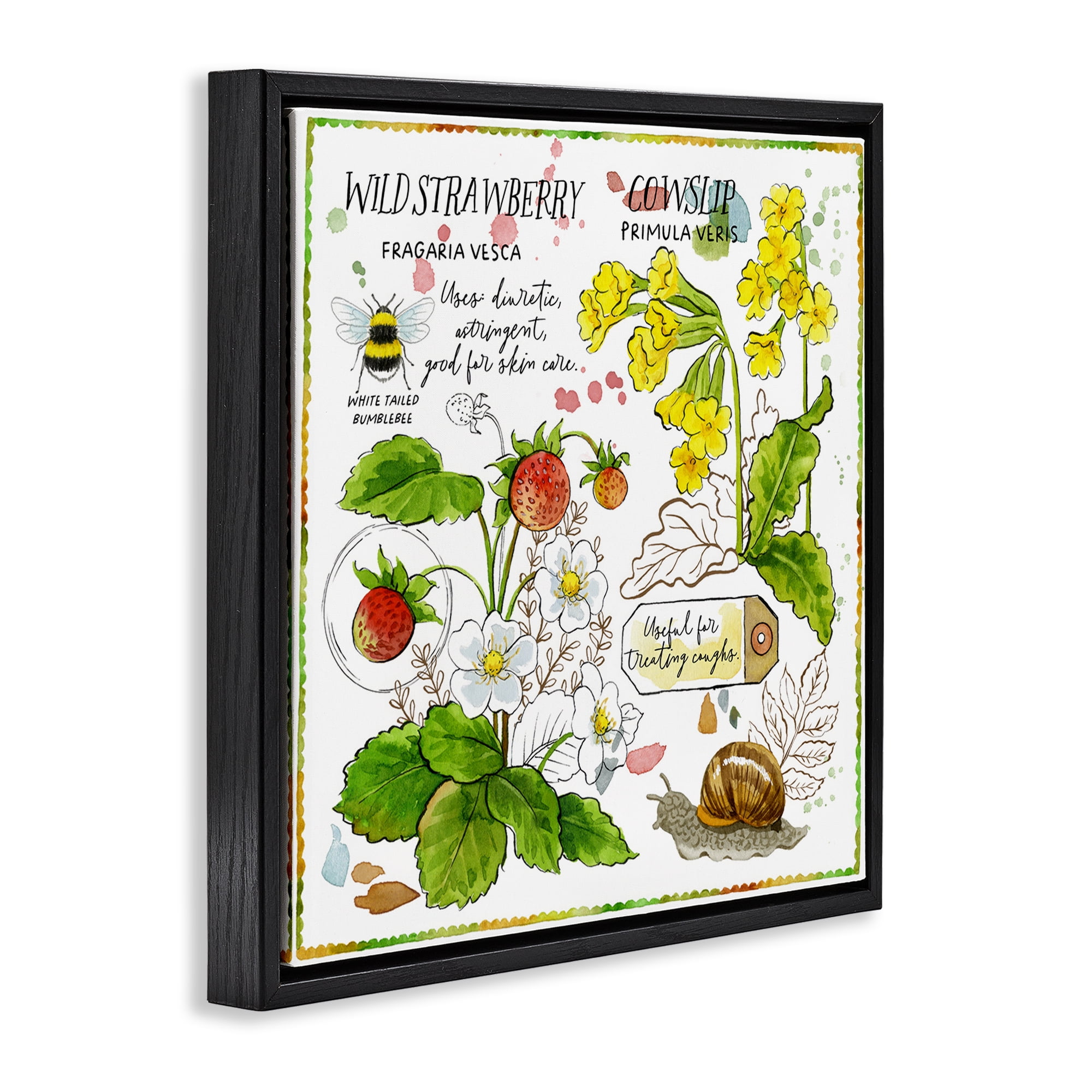 Stupell Industries Strawberry & Florals Uses Plants & Flowers Painting Black Floater Framed Canvas Art Print Wall Art, 25 x 25