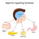 thumbnail image 3 of 10 Uds desintoxicación adelgazante quema columna moldeadora de cuerpo Moxa Stick cuidado de la salud Ygjytge Cuidado Belleza, 3 of 5