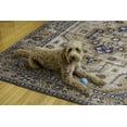 thumbnail image 4 of Julian 5' x 7' Washable Area Rug, Ivory and Gold, 4 of 8