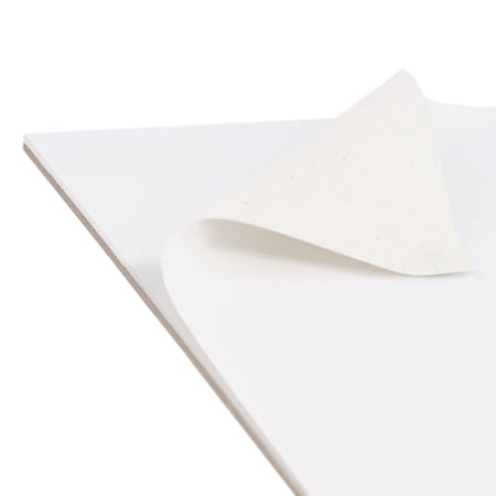 U.S. Art Supply 16 x 20 10-Sheet 8-Ounce Triple Primed Acid-Free Canvas Paper Pad (Pack of 2 Pads)