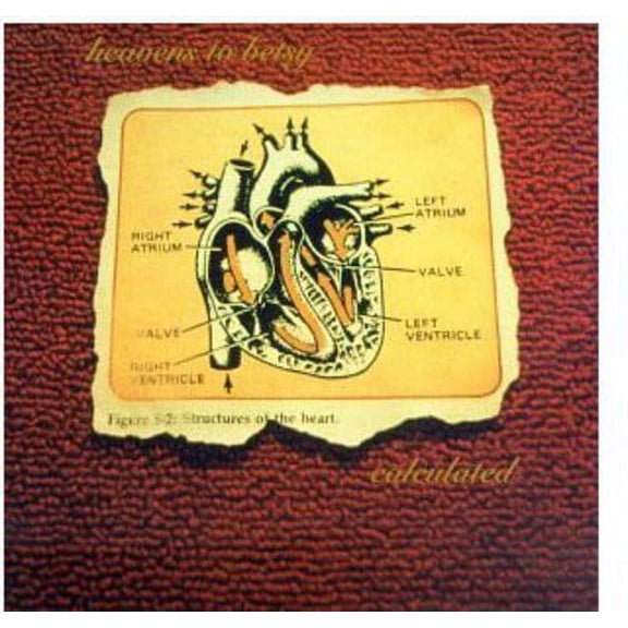 Heavens to Betsy - Calculated - Punk Rock - CD