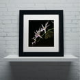 thumbnail image 4 of Trademark Fine Art "Spider Orchid and Owl Eye" Canvas Art by Kurt Shaffer, White Matte, Black Frame, 4 of 5