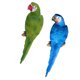 thumbnail image 1 of 2x Parrot Resin Piezas de Automóvil Cortacésped Jardín Decor, 1 of 9