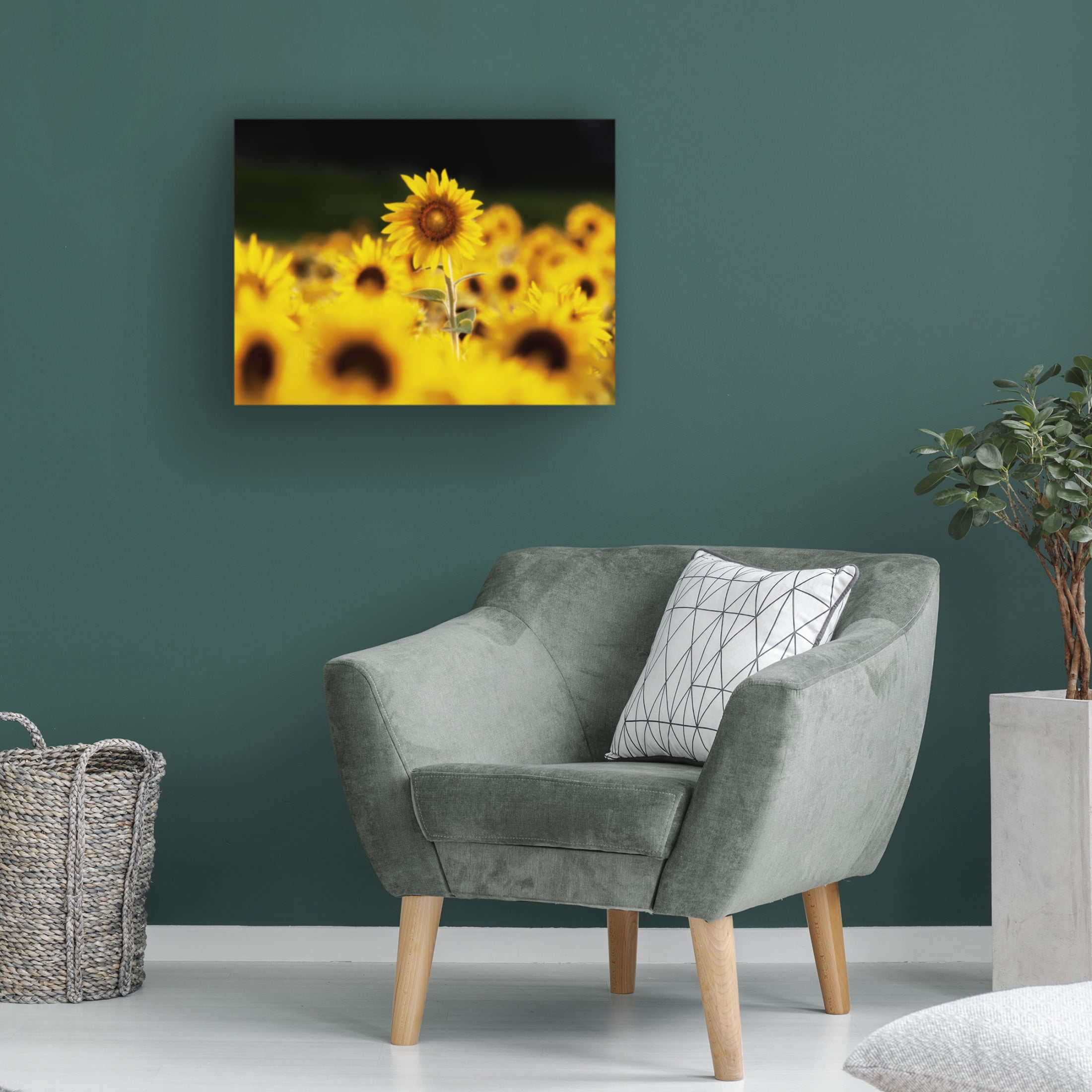 Canvas Wall Art - Clive Branson 'Sunflower Ottawa' Wall Art for Living Room, Bedroom, or Office Décor by Trademark Fine Art - 24 x 18 Inches