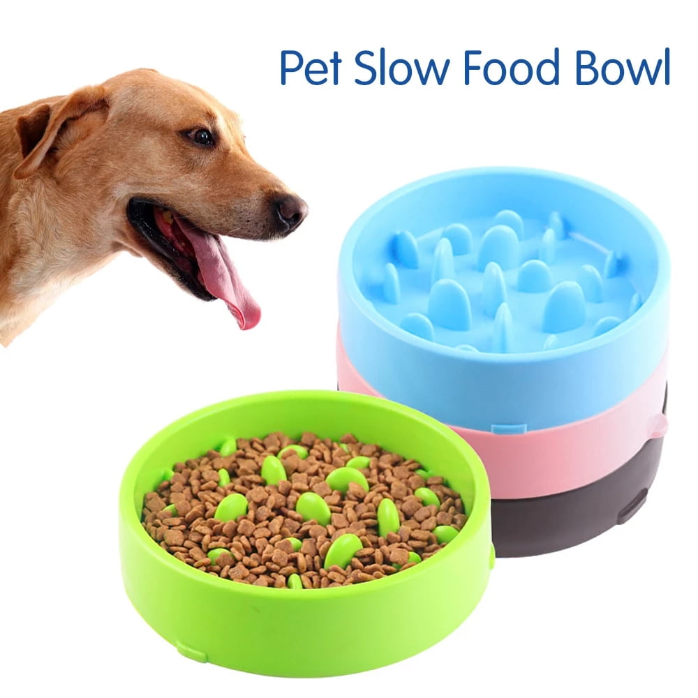 FidgetFidget Pet Dog Slow Feeder Bowl Dog Cat Anti Slip Gulp Choke Feed Dish Bowls 6L Green Small
