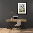 thumbnail image 4 of William Houghton 17x24 Black Modern Framed Museum Art Print Titled - Diptera (1877), 4 of 5