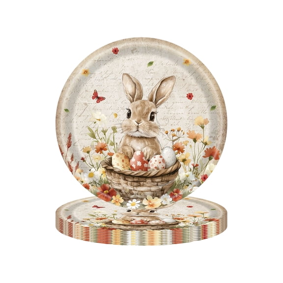Decorr Easter Bunny & Egg Party Supplies Set, Disposable Paper Cups Plates Napkins, Cute Spring Themed Tableware for Holiday Celebration (20Pc,9" Plates )