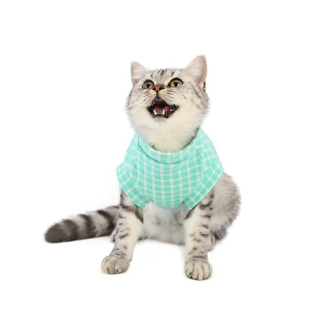 Xihbxyly Artículos con Descuento y Ropa de Invierno para Mascotas Ropa 20 Suéter de Crisantemo