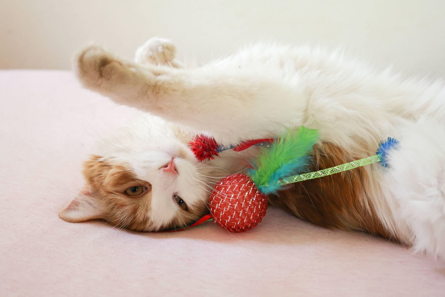 Vibrant Life Mesh Feather Ball, jouet pour chat, couleurs assorties, 1 paquet