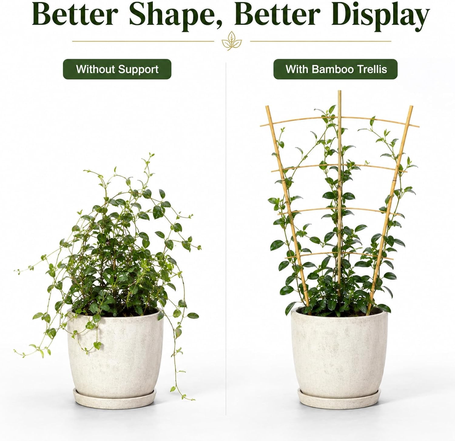 Garden Trellis 24 Inch, 6 Pack Plant Trellis 2FT for Climbing Plants, Vines, Vegetables, Flowers, Potted Plants, Natural Bamboo Indoor Outdoor Support