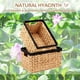 thumbnail image 2 of Cesta de almacenamiento de mimbre, cestas de almacenamiento de jacinto de agua con asas integradas, cestas de mimbre grandes para almacenamiento, paquete de 2 cestas de mimbre para organizar, natural, 2 of 8