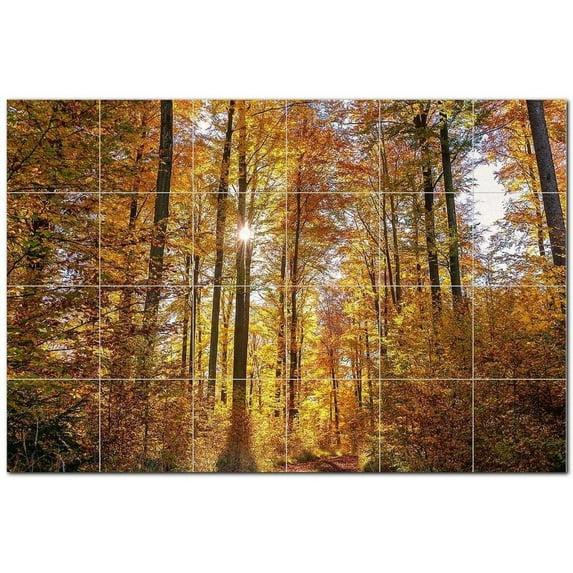 Trees Forest Ceramic Tile Mural Kitchen Backsplash Bathroom Shower, 401695-M64