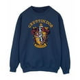 thumbnail image 1 of Harry Potter Womens Gryffindor Sweatshirt, 1 of 5