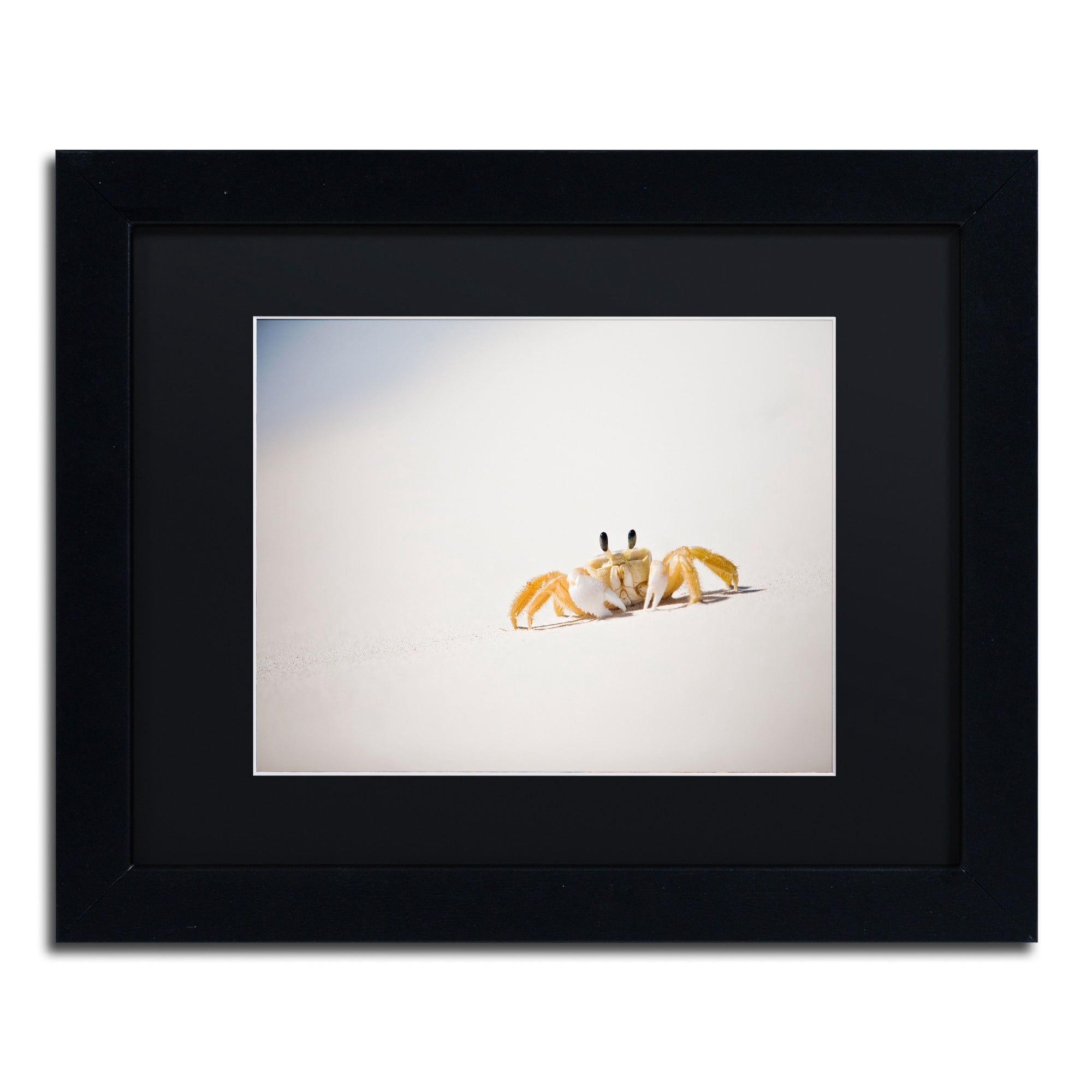 Trademark Fine Art "Ghost Crab 7" Canvas Art by Yale Gurney, Black Matte, Black Frame