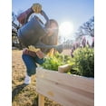 thumbnail image 5 of Zylina Raised Elevated Wood Planter Garden Bed Box Stand with 4 Way Divider for Backyard, Patio - Natural 20"(L) x 20"(W) x 20"(H), 5 of 8