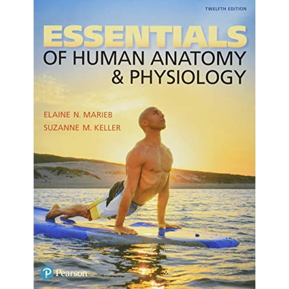 Pre-Owned Essentials of Human Anatomy & Physiology