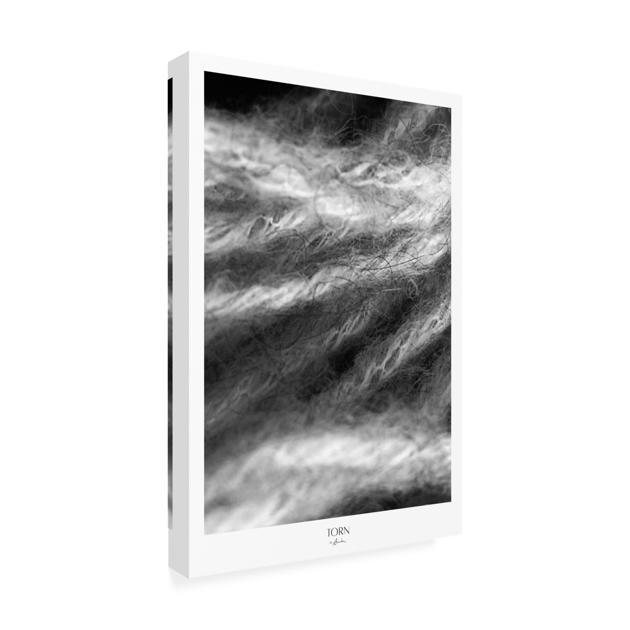 Trademark Fine Art Annika John Torn Canvas Wall Art