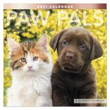 Mead Kittens Wall Calendar
