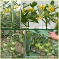 thumbnail image 6 of The Old Farmer's Almanac Organic Tomato & Vegetable Plant Food (Case of 8 Bags), 6 of 10