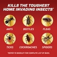 thumbnail image 4 of Ortho Home Defense Insect Killer for Lawn & Landscape Concentrate 32 Oz., 4 of 8